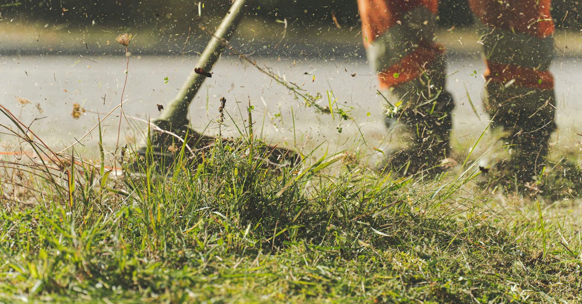 Mowing the Lawn